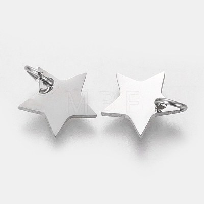 304 Stainless Steel Charms STAS-Q201-T461S-1