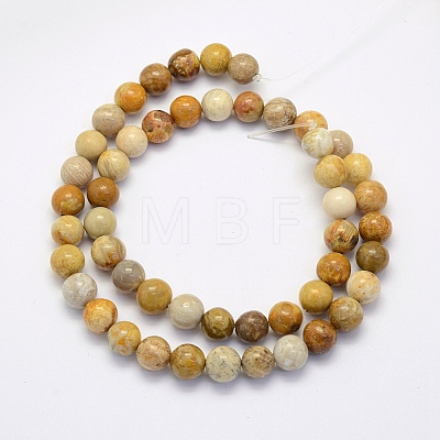 Natural Fossil Coral Beads Strands X-G-G697-F01-4mm-1