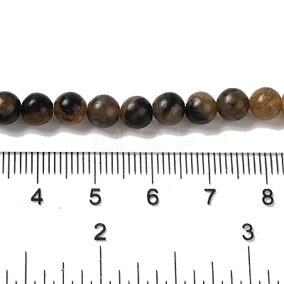 Natural Chiastolite Beads Strands G-Q161-A03-02-1
