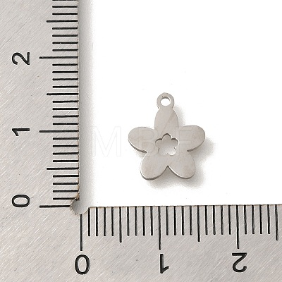 304 Stainless Steel Charms STAS-S144-03P-1