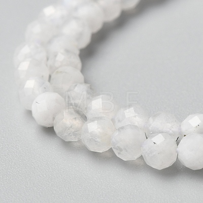 Natural Rainbow Moonstone Beads Strands X-G-O186-D02-01-1