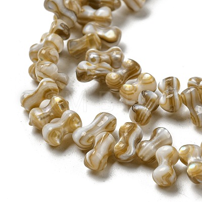 Natural Freshwater Shell Beads Strands SHEL-C005-03-1