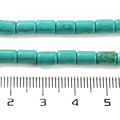 Synthetic Turquoise Beads Strands TURQ-G120-4x6mm-13-1