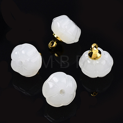 Glass Charms GLAA-N036-04B-1