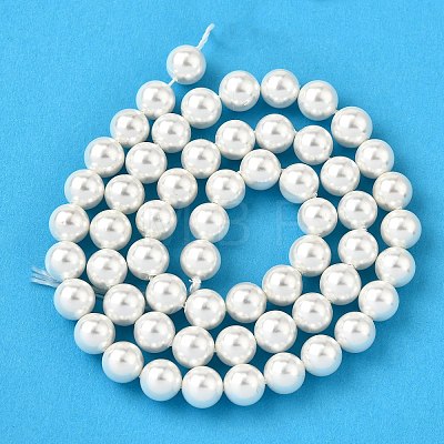 Rainbow Plated Shell Pearl Bead Strands BSHE-L025-02-8mm-1