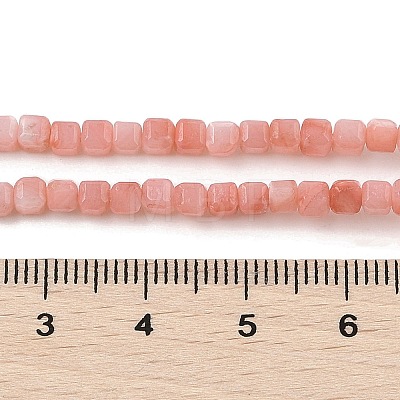 Natural Freshwater Shell Dyed Beads Strands SHEL-R100-11A-01-1