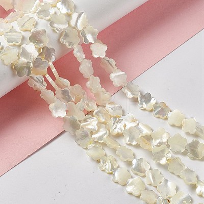 Natural White Shell Beads Strands SHEL-F003-07-1