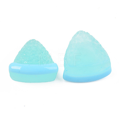 Resin Cabochons CRES-R197-04-1