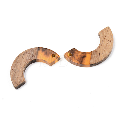 Resin & Walnut Wood Pendants RESI-S389-007A-A01-1