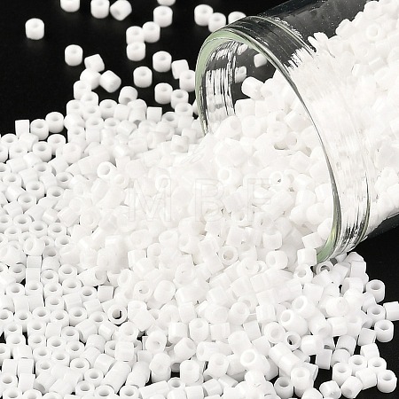 Cylinder Seed Beads X-SEED-H001-H24-1