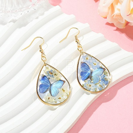 Transparent Epoxy Resin Dangle Earrings EJEW-JE07205-02-1