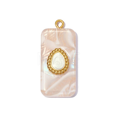 304 Stainless Steel Resin Pendants STAS-OY012-55G-1