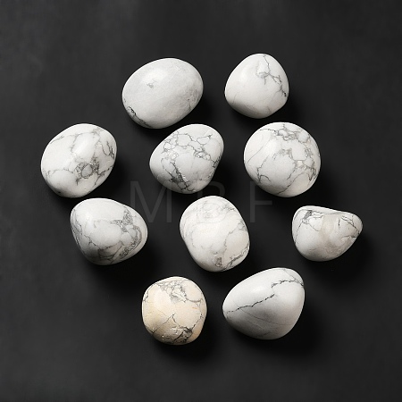 Natural Howlite Beads G-G979-A04-1