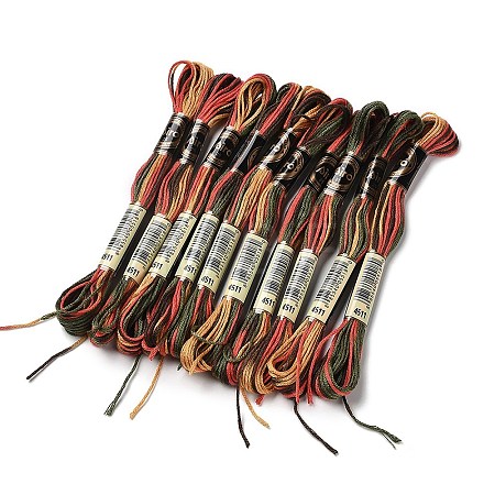 10 Skeins 6-Ply Polyester Embroidery Floss OCOR-K006-A12-1