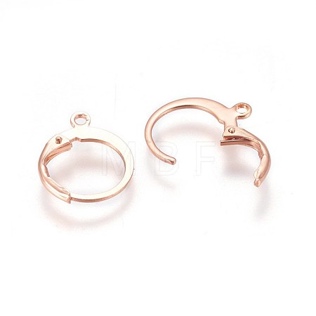 304 Stainless Steel Leverback Earring Findings X-STAS-E460-02RG-1