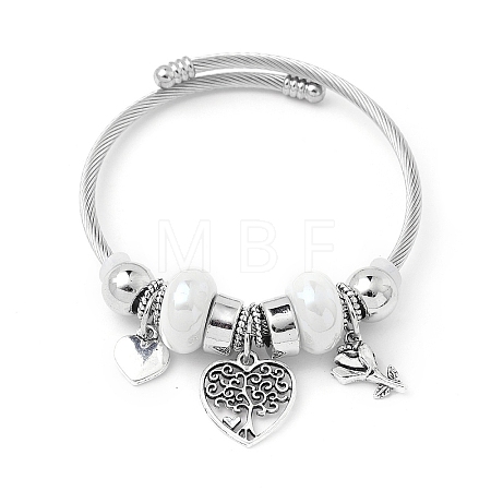 European Style Stainless Steel & Alloy Charm Bangles for Women PW-WG243C0-03-1