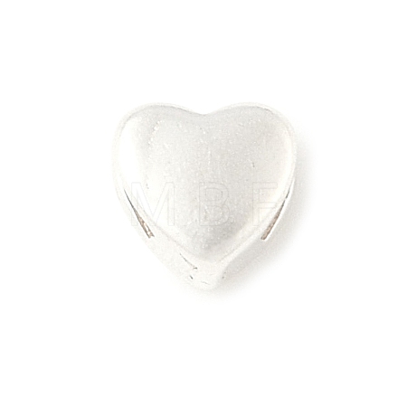 925 Sterling Silver Silde Charms STER-C013-02S-1