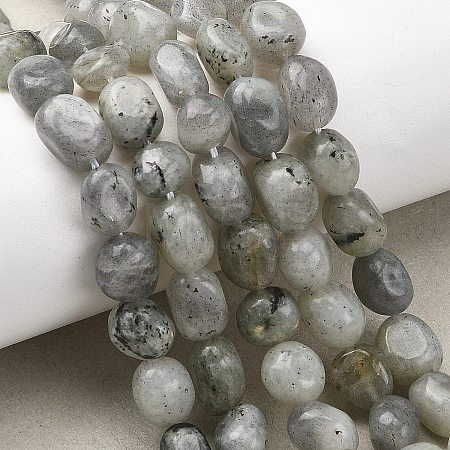 Natural Labradorite Beads Strands G-P623-A03-01-1