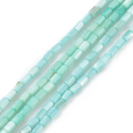 Natural Freshwater Shell Dyed Beads Strands SHEL-M018-12-06-1