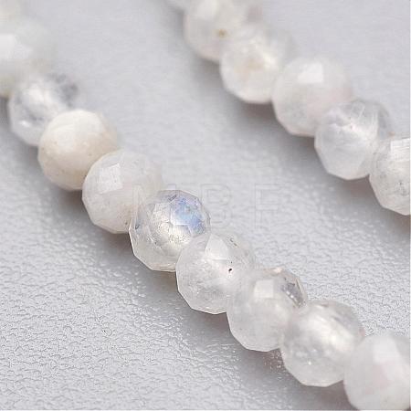 Natural Rainbow Moonstone Bead Strands G-P213-21-2mm-1