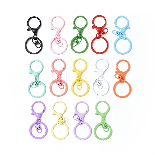 Alloy Keychain Clasps X-FIND-H037-03-1