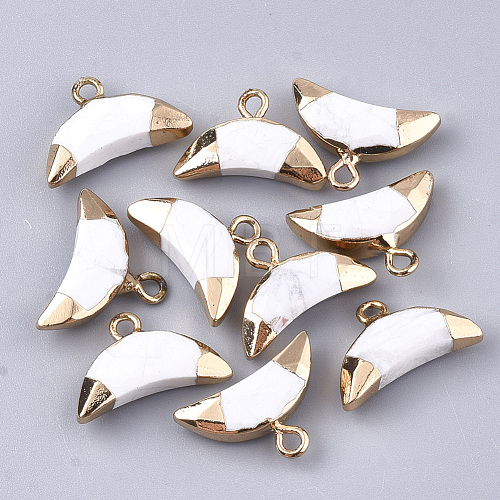 Electroplate Natural Howlite Charms G-S344-48C-1