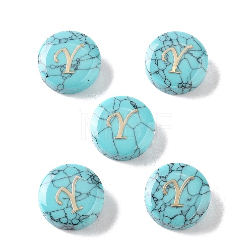 Synthetic Turquoise Beads G-A238-02Y-1