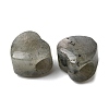 Natural Labradorite European Beads G-C269-01I-2