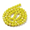 Opaque Glass Beads Strands EGLA-A035-P8mm-L04-2