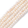 Natural Cultured Freshwater Pearl Beads Strands PEAR-I007-07K-02B-2