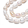 Natural Cultured Freshwater Pearl Beads Strands X-PEAR-N012-05D-4