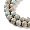 Natural Rainbow Alashan Agate Beads Strands G-NH0022-A07-02-4