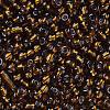 6/0 Glass Seed Beads SEED-US0003-4mm-53-2