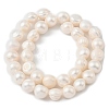 Natural Cultured Freshwater Pearl Beads Strands PEAR-P064-19I-05E-3