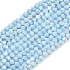 Electroplate Bicone Glass Beads Strands GL-T021-2.5x3mm-16-17-1