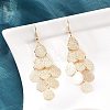 Brass Dangle Earrings EJEW-B157-02E-G-1