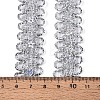 Polyester Metallic Ribbons DIY-WH0542-61B-01-3