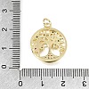 Brass Micro Pave Colorful Cubic Zirconia Charms CU-L001-12G-03-3