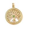 304 Stainless Steel Pendants LS-STAS-D207-27G-1