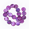Freshwater Shell Beads Strands SHEL-T014-011E-2