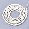 Natural Cultured Freshwater Pearl Beads Strands PEAR-T003-24-2