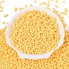 Opaque Acrylic Beads SACR-A006-06D-2