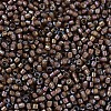 MIYUKI Delica Beads SEED-X0054-DB1790-3