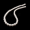 Electroplate Glass Imitation Pearl Beads Strands EGLA-A049-02-5