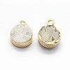 Natural Druzy Quartz Charms G-P396-07G-03-2