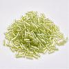 Glass Bugle Beads SEED-E001-9mm-164-2