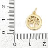 Brass Micro Pave Clear Cubic Zirconia Charms KK-G522-46G-2