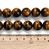 Natural Tiger Eye Beads Strands G-F173-12-14mm-5