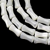 Natural Trochid Shell/Trochus Shell Beads Strands SH-CBA2978-12-2