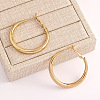Alloy Hoop Earrings FS-WG81E20-06-1